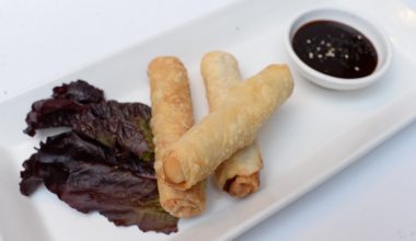 Empanaditas Primavera de Salmón (5 piezas)